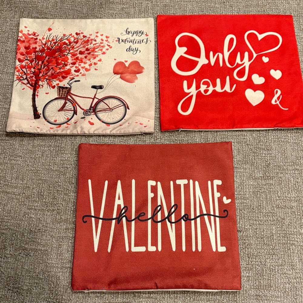 Valentine's Day Pillow Covers Set